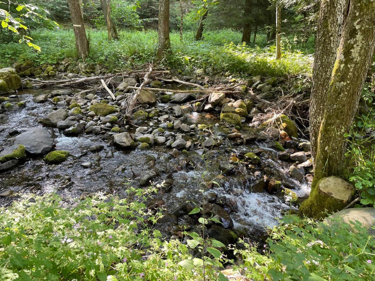 Le Chalet Du Coeur Mittlach Dış mekan fotoğraf