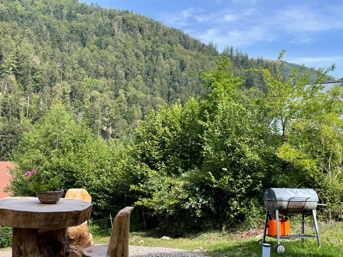Le Chalet Du Coeur Mittlach Dış mekan fotoğraf