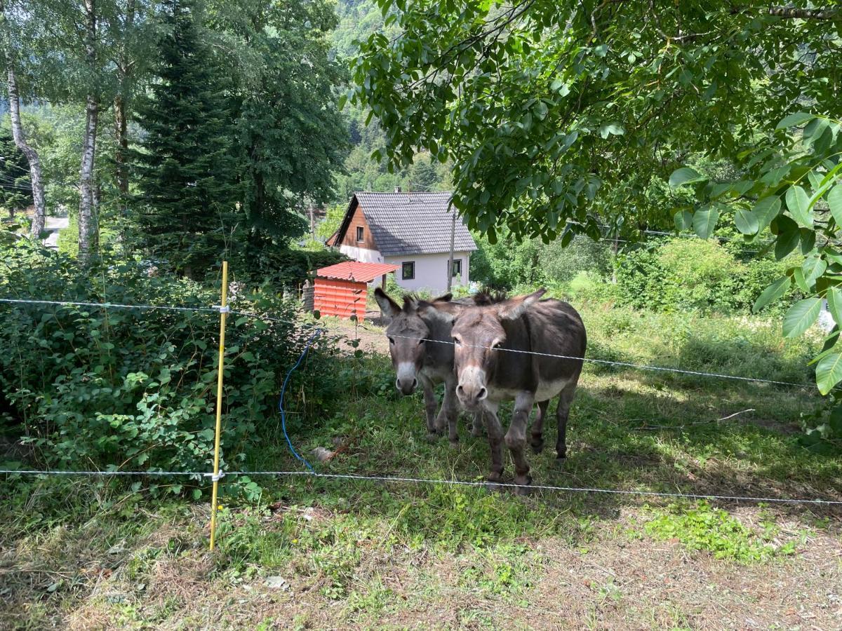 Le Chalet Du Coeur Mittlach Dış mekan fotoğraf