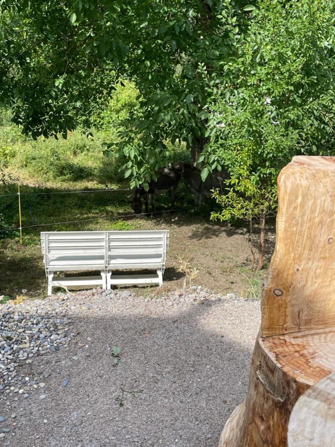 Le Chalet Du Coeur Mittlach Dış mekan fotoğraf