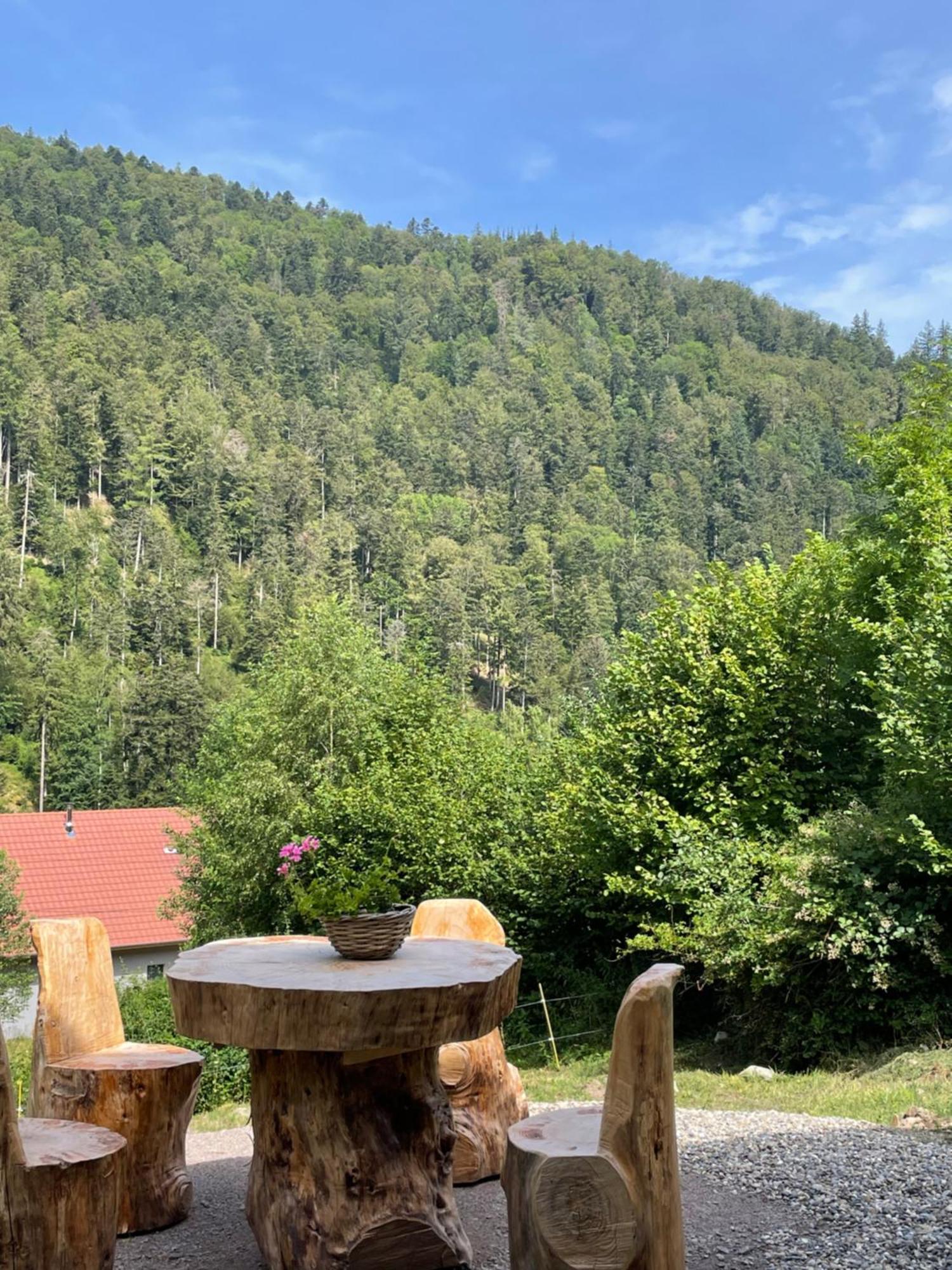 Le Chalet Du Coeur Mittlach Dış mekan fotoğraf